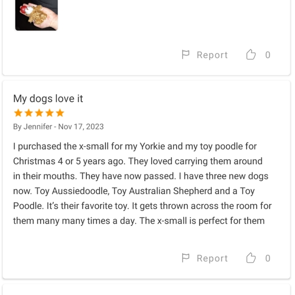 🆕TinyToy4TinyDogs - Picture 10 of 15